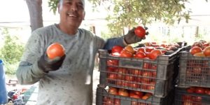 Agricultores Apoyan con una Tonelada de Hortalizas y Frutas a Damnificados por Incendio de Viña del Mar