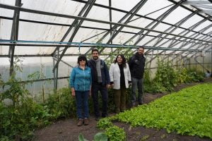 Convenio por $3.000 Millones para Apoyar a la Agricultura y Ganadería Magallánica Propone INDAP al Gobierno Regional item-thumbnail