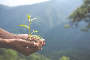 Corfo Busca Nuevas Soluciones Tecnológicas e Innovadoras Para Resolver Desafíos Sectoriales en Economía Circular item-thumbnail