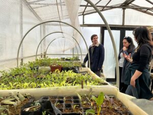 Cooperativas de Chiloé, Osorno y Llanquihue Apoyadas por Sercotec se Reúnen con la DAES item-thumbnail