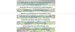 AAAAAAAAAAAAAAAAAAAAAAAAA