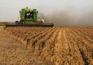 EEUU beneficiará fiscalmente a los agricultores que vendan a cooperativas item-thumbnail