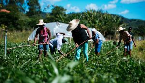 Autoridades respaldan a Manuel Otero en lucha por mejorar el bienestar rural de las Américas