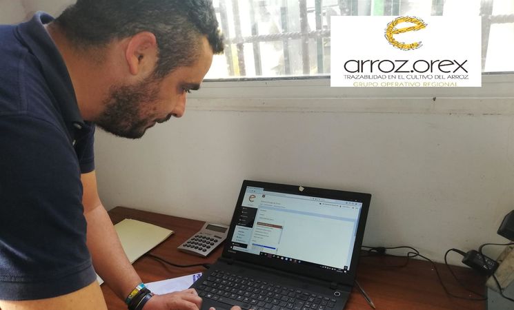 ArrozOrEx implanta su app para aumentar la trazabilidad e identificar el origen del arroz item-thumbnail