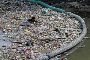 Un problema urgente Contaminación del agua: causas, consecuencias y todo lo que hay que saber item-thumbnail