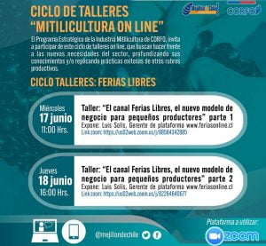Talleres online buscan entregar nuevas herramientas y alternativas económicas a mitilicultores de Los Lagos item-thumbnail