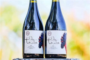 Lanzan segunda edición de premiado vino El Taita item-thumbnail