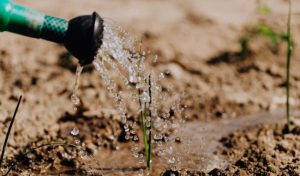 El programa de Agua Potable Rural Sufrirá una Transformación Digital en la Región del Biobío