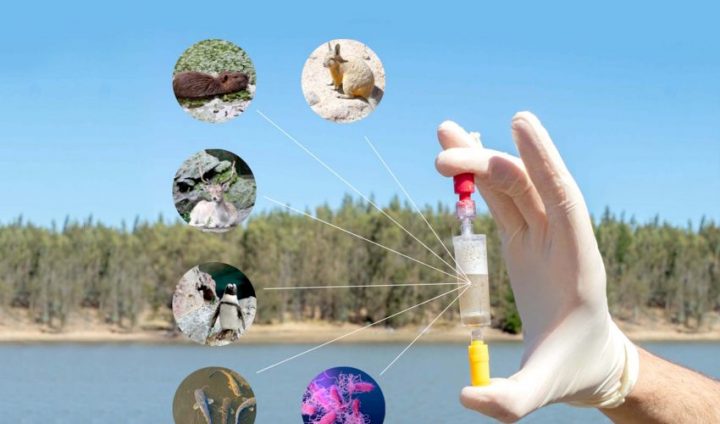 Ecogen: La Innovación que Logra Monitorear el Ambiente por el ADN