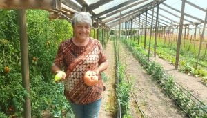 Productora de Curicó Ana Quitral Potencia la Agricultura Agroecológica en Invernaderos y al Aire Libre item-thumbnail