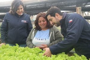 INDAP Incorpora Mejoras a Programa Prodesal que Beneficiará a Más de 68 mil Agricultores item-thumbnail