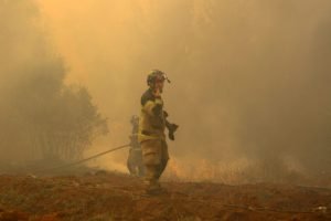Viñateros del Valle del Itata han Sido el Sector Turístico Más Afectado por los Incendios Forestales