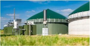Cooperativas del Estado de Paraná Producirán Hidrógeno Verde Con Desechos de la Actividad Ganadera item-thumbnail
