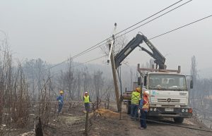 Fenacopel destaca incansable labor de Copelec y Coelcha en medio de la emergencia producida por los incendios forestales