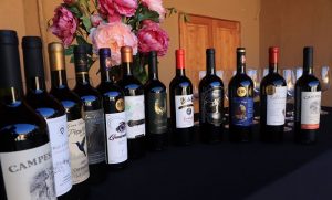 Con Muestra de Vinos Ancestrales se Realizó el Lanzamiento de la Expo Viñas Campesinas de Colchagua 2023