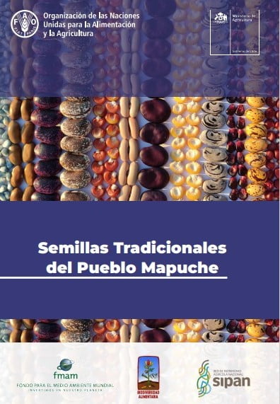 Día Mundial de la Semilla 2023: Semillas Tradicionales del Pueblo Mapuche